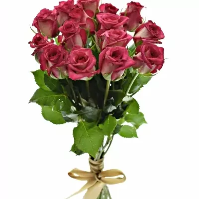 Kytice 15 žíhaných růží CLARION 40cm