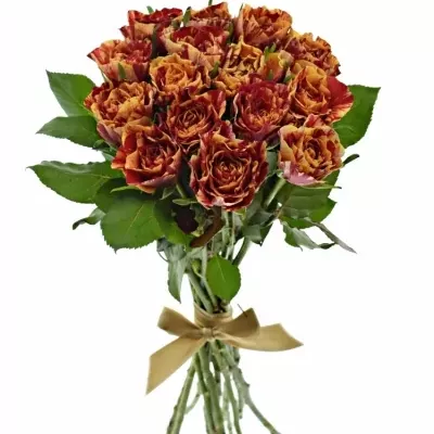 Kytice 15 žíhaných růží FIRE CRACKER 50cm