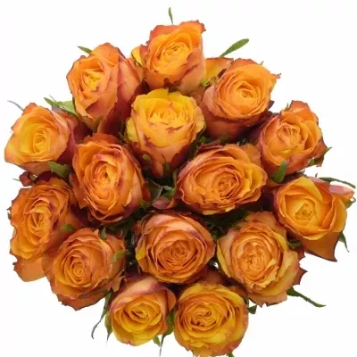 Kytice 15 žíhaných růží GRANADA 40cm