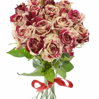 Kytice 15 žíhaných růží HARLEQUIN 50cm