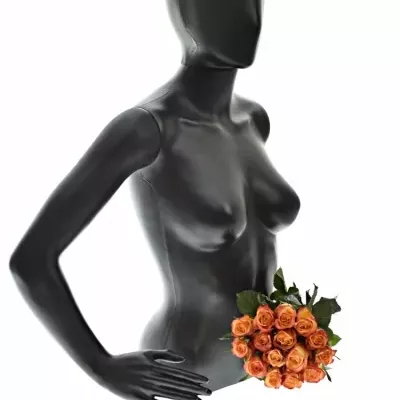 Kytice 15 žíhaných růží HIGH & MAGIC 40cm