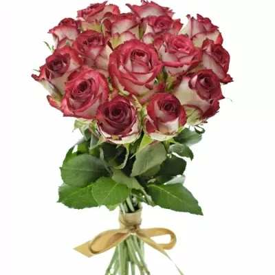 Kytice 15 žíhaných růží PARADISO 40cm