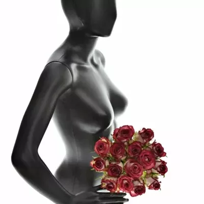 Kytice 15 žíhaných růží PARADISO 40cm