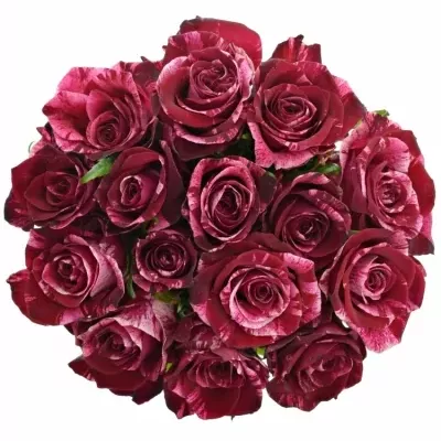 Kytice 15 žíhaných růží RED STORM 40cm