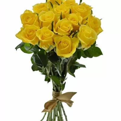Kytice 15 žlutých růží MOONWALK 50 cm