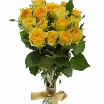 Kytice 15 žlutých růží PACO! 50cm