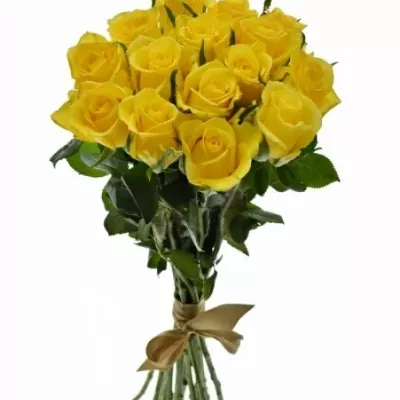 Kytice 15 žlutých růží SONRISA