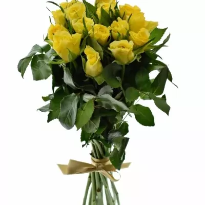 Kytica 15 žltých ruží SUNNY SHER 40cm