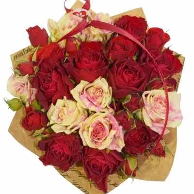 Míchaná kytice 19 ks ADINA ø20cm