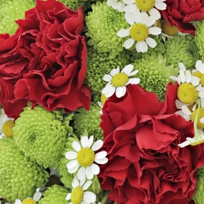 Kytice 20 míchaná ARETINA 60cm 