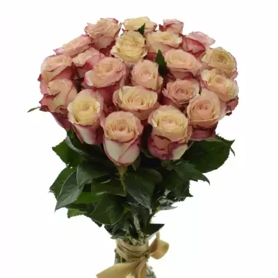 Kytice 21 bílorůžových růží ADVANCE SWEETNESS 40cm
