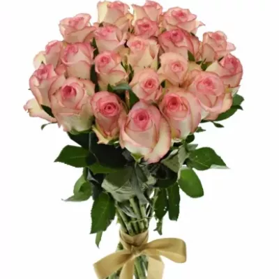 Kytice 21 bílorůžových růží JUMILIA 50cm