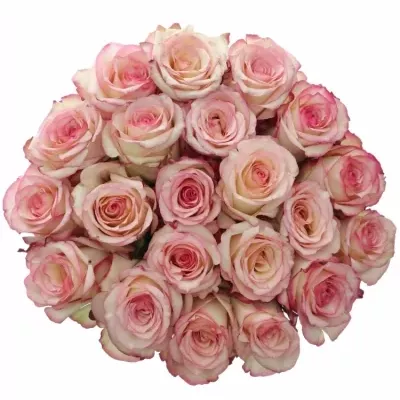 Kytice 21 bÍlorůžových růží TORMENTA 40cm