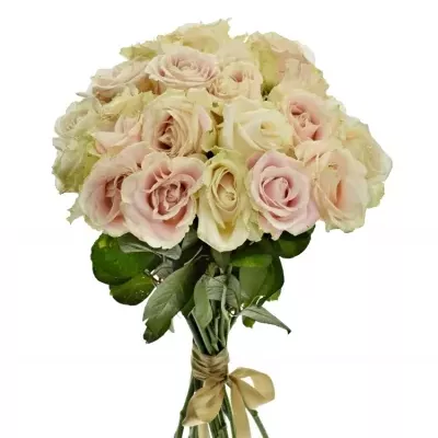 Kytice 21 bílých růží ADOR AVALANCHE+ 60cm
