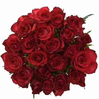 Kytice 21 červenofialových růží DARK LULU 50 cm