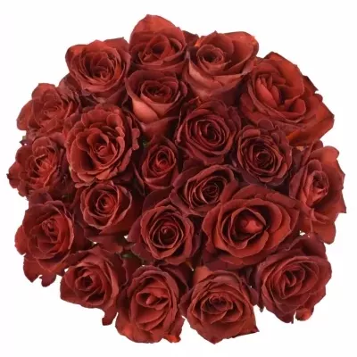 Kytice 21 červenohnědých růží CAFE DEL MAR 50cm