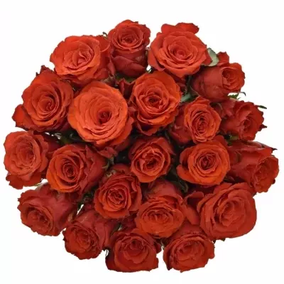 Kytice 21 červených růží BRIGHT TORCH 80cm
