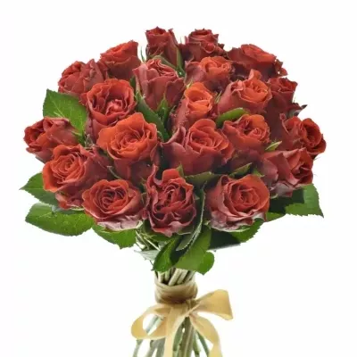 Kytice 21 červených růží EL TORO 30cm