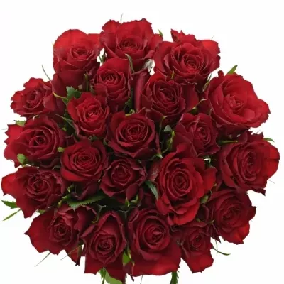 Kytice 21  červených růží MANDY 60cm
