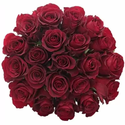 Kytice 21 červených růží NAZCA 90cm