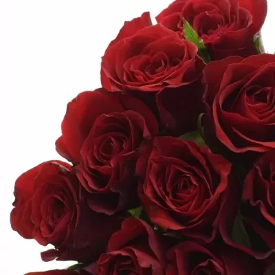 Kytice 21 červených růží PRESTIGE 35cm