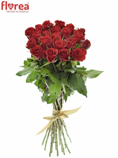 Kytice 21 červených růží RED CALYPSO 35cm