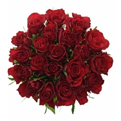 Kytice 21 červených růží RED CALYPSO 50 cm