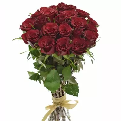 Kytice 21 červených růží RED DRAGON 50cm