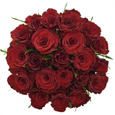 Kytice 21 červených růží RED MOUNTAIN