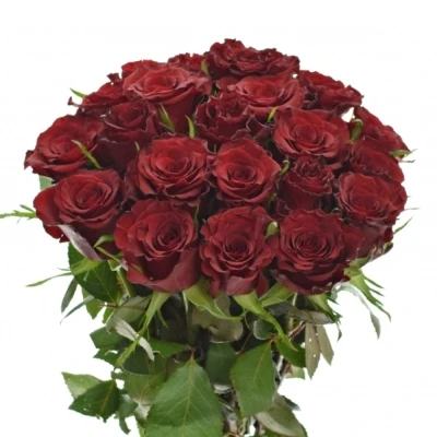 Kytice 21 červených růží RED MOUNTAIN