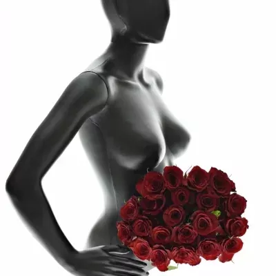 Kytice 21 červených růží RED PARIS 50cm