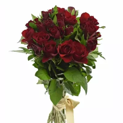 Kytice 21 červených růží RHYTHM 50cm