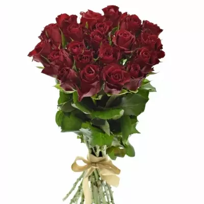 Kytice 21 červených růží SAMOURAI 40cm