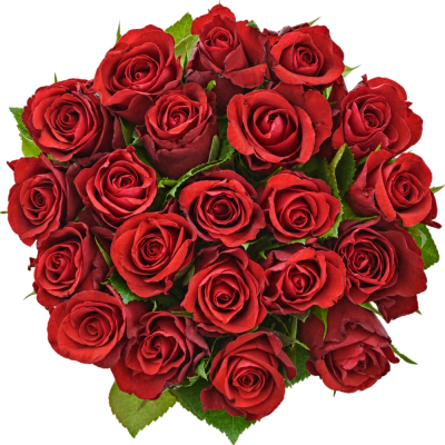 Kytice 21 červených růží SIMPLY RED