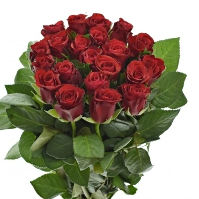 Kytice 21 červených růží SIMPLY RED