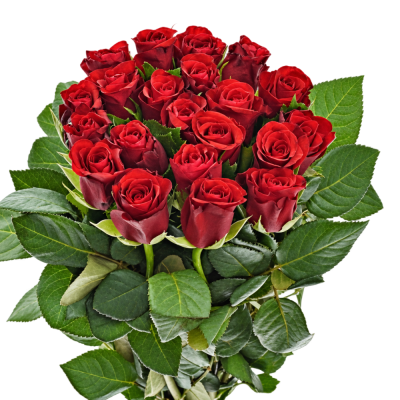 Kytice 21 červených růží SIMPLY RED