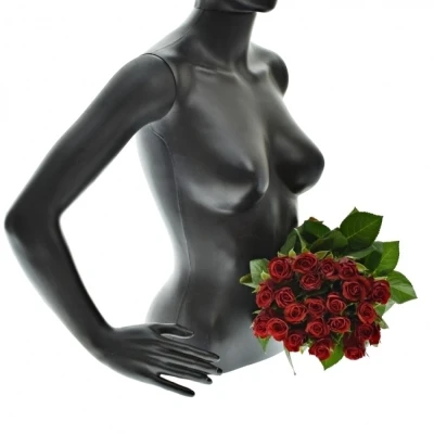 Kytice 21 červených růží SIMPLY RED