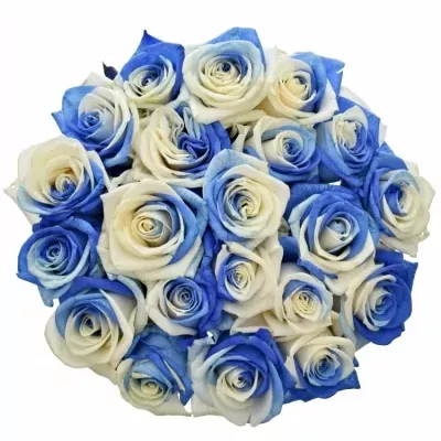 Kytice 21 duhových růží RAINBOW BLUEWHITE 50cm
