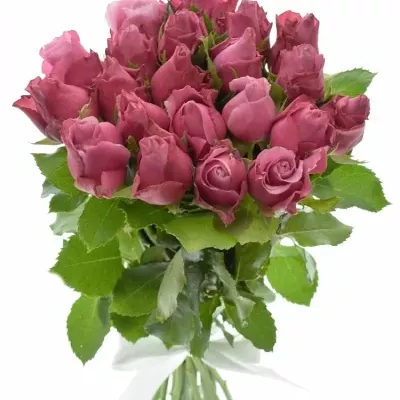 Kytice 21 fialových růží DEEP WATER 40cm