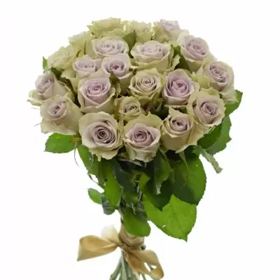 Kytice 21 fialových růží FIFTH AVENUE! 40cm