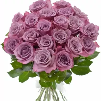 Kytice 21 fialových růží MOODY BLUES 40cm