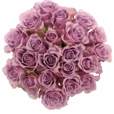 Kytica 21 fialových ruží NIGHTINGALE 50cm