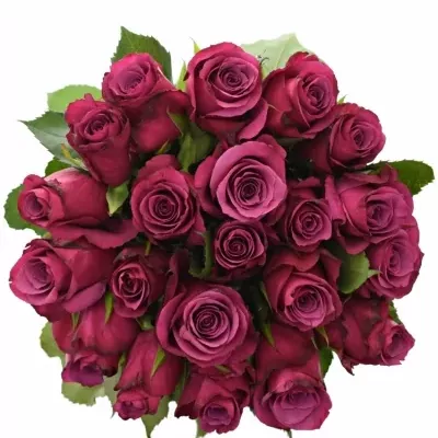 Kytice 21 fialových růží SHOGUN 60cm