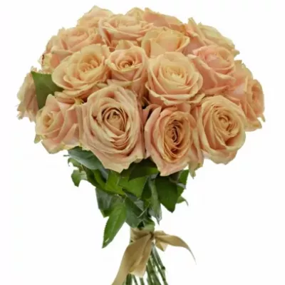 Kytice 21 krémových růží PEARL AVALANCHE+ 50cm