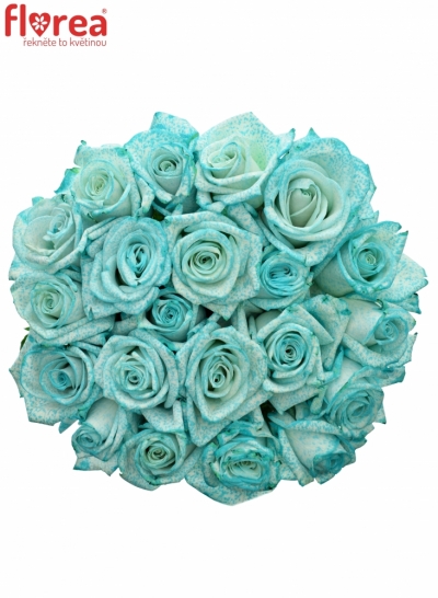 Kytice 21 ledově modrých růží ICE BLUE VENDELA 70cm