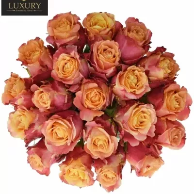 Kytice 21 luxusních růží 3D 50cm