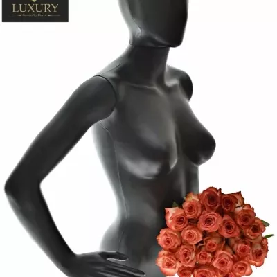Kytice 21 luxusních růží BLUSH 70cm
