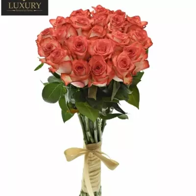 Kytice 21 luxusních růží BLUSH 70cm