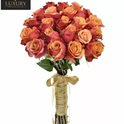 Kytice 21 luxusních růží CHERRY BRANDY 70cm