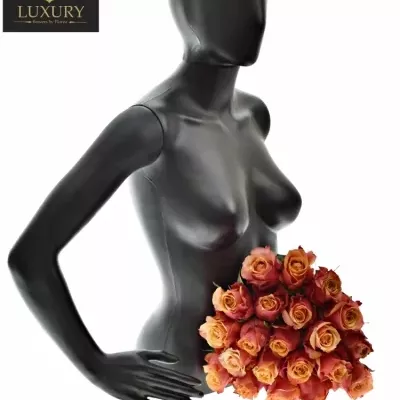 Kytice 21 luxusních růží CHERRY BRANDY 70cm